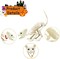 Cat Halloween Skeleton Decoration, Animal Skeleton with Posable Joints for Graveyard Scene and Decoration, Skeleton Bones Prop Themed Parties, Haunted Houses